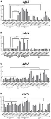 Comparison of antimicrobial activities and resistance mechanisms of eravacycline and tigecycline against clinical Acinetobacter baumannii isolates in China